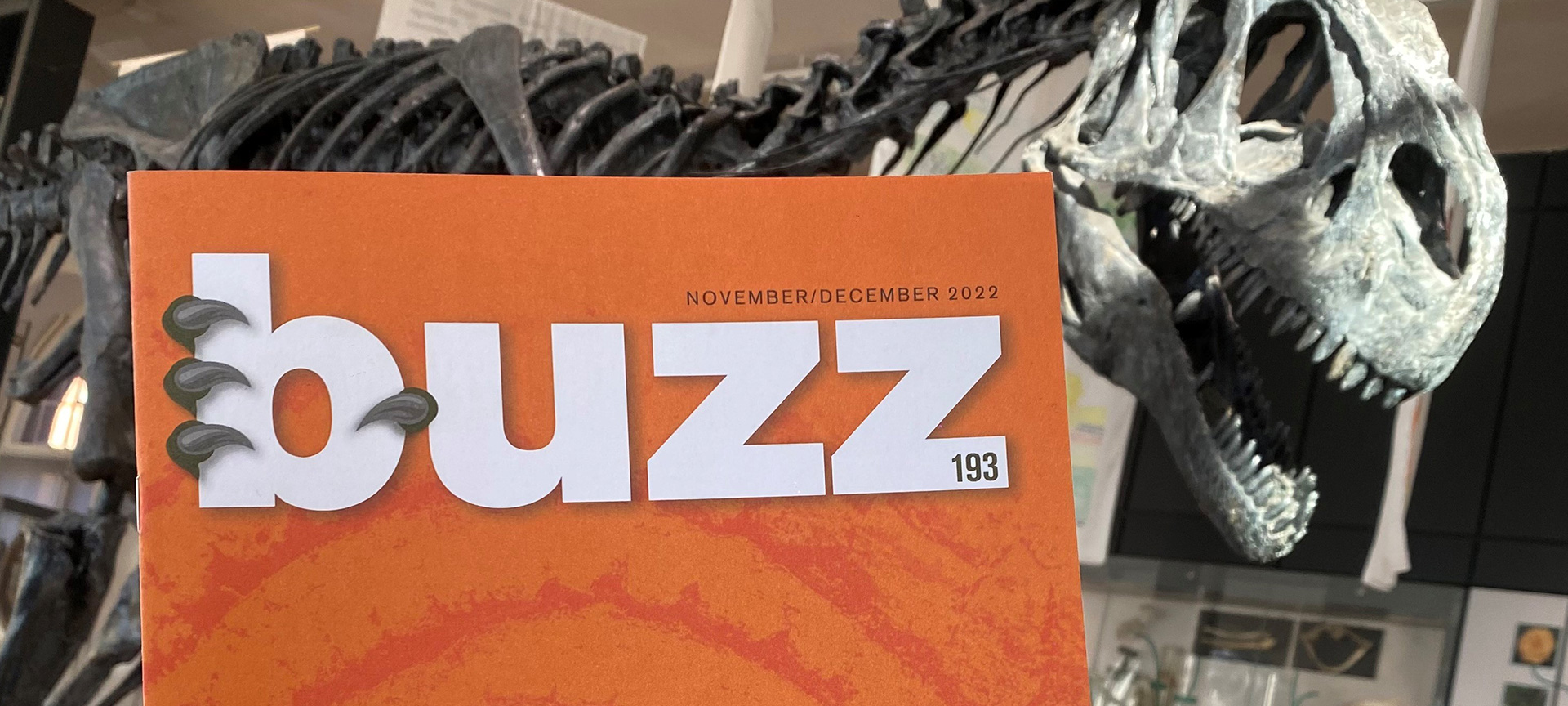 The front cover of Buzz Magazine being held up in front of a large dinosaur skeleton